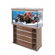 Биодизайн "Altum 200" 200 л, 101*41*57 см (аквариум)