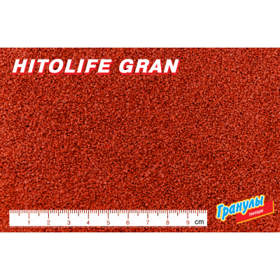 Лагуна "Людвигия Фиолетовая" 10 см Лагуна "Людвигия Фиолетовая" 10 см