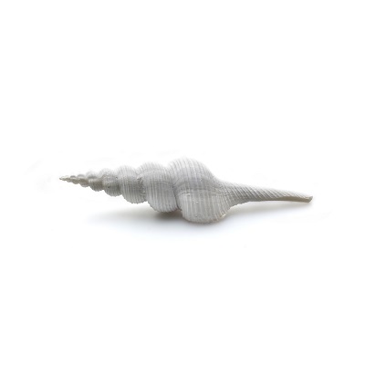 Prime "Ракушка Спиральная L" Prime "Ракушка Спиральная L"