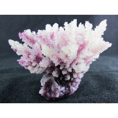 Коралл пластиковый фиолетовый, 10.5*8.8*8 см (SH122PU) Коралл пластиковый фиолетовый, 10.5*8.8*8 см (SH122PU)