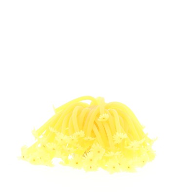 Коралл силиконовый на керамической основе жёлтый, 13*13*10 см (RT187Y) Коралл силиконовый на керамической основе жёлтый, 13*13*10 см (RT187Y)