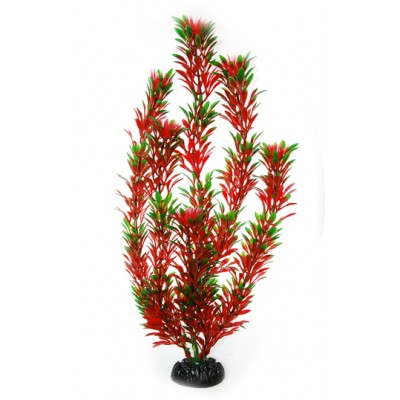 Лагуна "Людвигия Жёлтая" 20 см Лагуна "Людвигия Жёлтая" 20 см