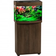 Биодизайн "Панорама 60" Золотой Орех, 58 л, 56*32*44 см (аквариум)