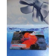 Листья индийского миндаля (10 шт.)