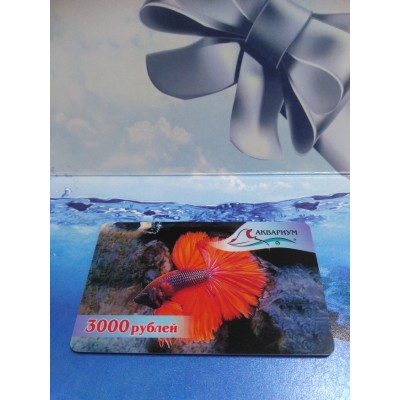 Листья индийского миндаля (10 шт.) Листья индийского миндаля (10 шт.)