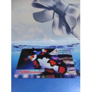 Скалярия (аквариумная рыба)