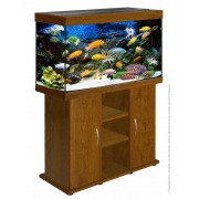 Тумба "Панорама 250" Бук, 126*46*73 см