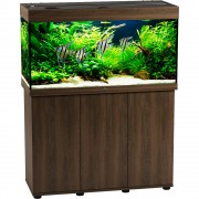 Биодизайн "Риф 200" Золотой Орех, 185 л, 101*41*56 см (аквариум)
