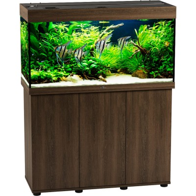 Биодизайн "Риф 200" Золотой Орех, 185 л, 101*41*56 см (аквариум) Биодизайн "Риф 200" Золотой Орех, 185 л, 101*41*56 см (аквариум)