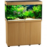 Биодизайн "Риф 200" Бук, 185 л, 101*41*56 см (аквариум)