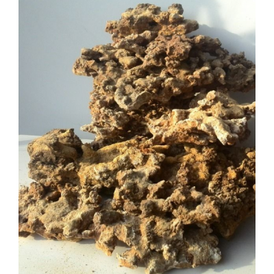 Камень "Сухой Морской", 1кг Камень "Сухой Морской", 1кг