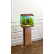 Биодизайн "Классик 30R" Золотой Дуб, 27л