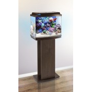 Биодизайн "Классик 40R" Золотой Орех, 38 л, 45*25*42 см