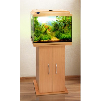 Биодизайн "Классик 50" Бук, 55 л, 50*29*45 см Биодизайн "Классик 50" Бук, 55 л, 50*29*45 см