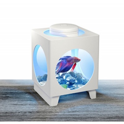 Gloxy "River 120" 120 л, 81*36*44 см (аквариум) Gloxy "River 120" 120 л, 81*36*44 см (аквариум)