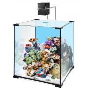 Биодизайн "Q-Scape 30" 30 л, 31*31*35 см