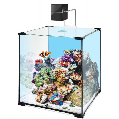 Биодизайн "Q-Scape 30" 30 л, 31*31*35 см Биодизайн "Q-Scape 30" 30 л, 31*31*35 см