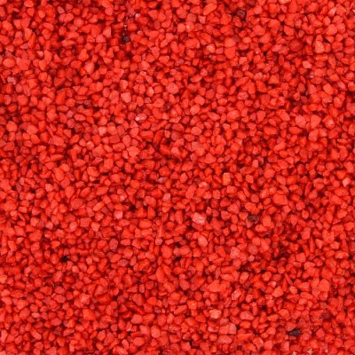 Растение "Ротала Валлиха" 20 см Растение "Ротала Валлиха" 20 см