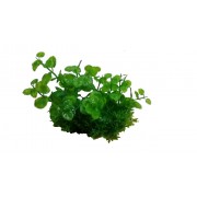 Prime "Композиция из пластиковых растений M624" 15см