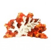 Коралл КР-091 (керамика)