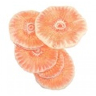 Подиум большой ПБ-053 (керамика) Подиум большой ПБ-053 (керамика)