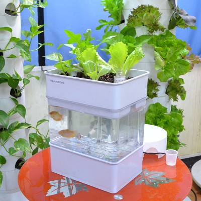 Акваферма белая Акваферма белая