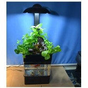 Акваферма чёрная с освещением