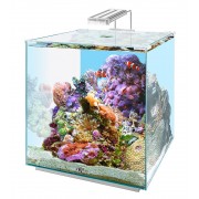 Биодизайн "Q-Scape Opti 50" 50 л, 37*37*42