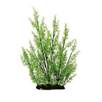 ArtUniq "Ротала" 35 см ArtUniq "Ротала" 35 см