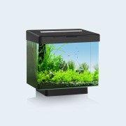 Juwel "Vio 40" Чёрный, 30 л, LED, фильтр (аквариумный набор)