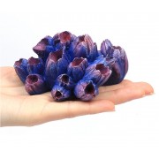 Морские желуди 9.5х7.5х5см (Коралл искуственный) фиолет