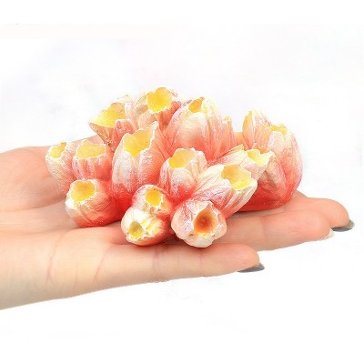 Морские желуди 9.5х7.5х5см (Коралл искуственный) оранж Морские желуди 9.5х7.5х5см (Коралл искуственный) оранж