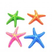 Звёздочки мини морские ассорти