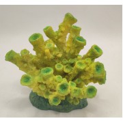 Коралл зеленый средний 950руб