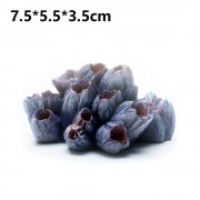 Жёлудь морской 650руб