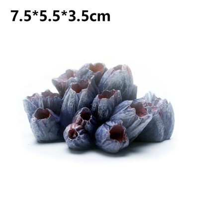 Жёлудь морской 650руб Жёлудь морской 650руб