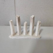 Кости часть хребта 750р