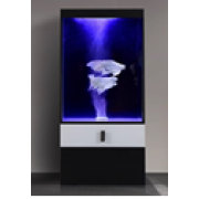 Вертикальный аквариум с тумбой 150л.+ самп 50л. 50*40*118см