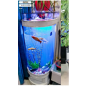 Skat аквариум полукруглый 62х50х138 см белый матовый с золотом