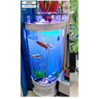 Skat аквариум полукруглый 62х50х138 см белый матовый с золотом Skat аквариум полукруглый 62х50х138 см белый матовый с золотом