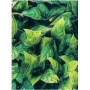 Коврик из растений для аквариума и террариума Hailea P-02S 15x15 см.