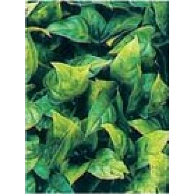 Коврик из растений для аквариума и террариума Hailea P-02S 15x15 см. Коврик из растений для аквариума и террариума Hailea P-02S 15x15 см.