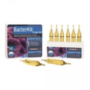 Prodibio "Bacterkit Aragonite" 1 ампула (бактерии в морском аквариуме)