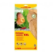 Sera "Catappa Leaves XXL" 32 см, 10 шт (листья индийского миндаля)