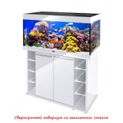 Биодизайн "Start-Up 70" Белёный Дуб, 70 л, 70*30*42 см (аквариум)