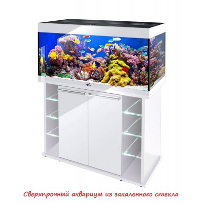 Биодизайн "Start-Up 70" Белёный Дуб, 70 л, 70*30*42 см (аквариум) Биодизайн "Start-Up 70" Белёный Дуб, 70 л, 70*30*42 см (аквариум)