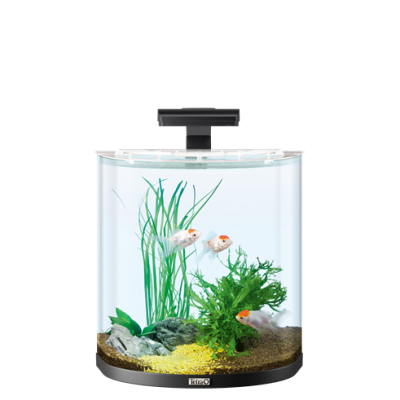 Tetra "Aqua Art Explorer Line 30" Чёрный, 30 л 25х40х40 см.(аквариумный набор) Tetra "Aqua Art Explorer Line 30" Чёрный, 30 л 25х40х40 см.(аквариумный набор)