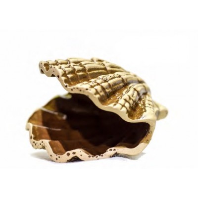 Терракот "Гребешок" 12*12*7 см Терракот "Гребешок" 12*12*7 см