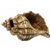 Терракот "Спираль (раковина)" 25*15*17 см