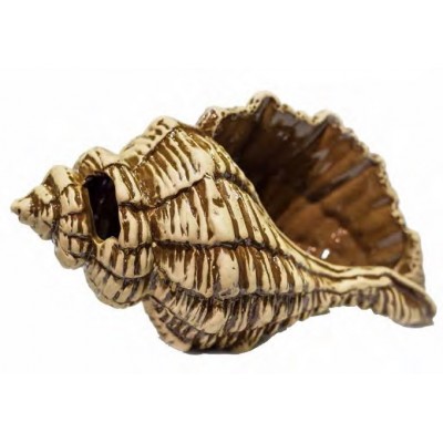 Терракот "Спираль (раковина)" 25*15*17 см Терракот "Спираль (раковина)" 25*15*17 см